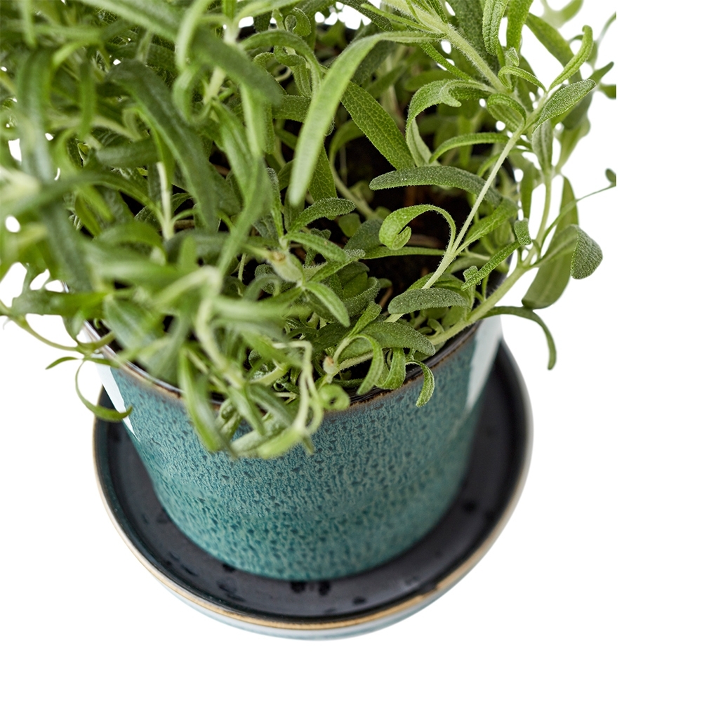 Bitz - Übertopf mit Unterteller - 10 cm - Schwarz/Grün Bitz - Übertopf mit Unterteller - 10 cm - Schwarz/Grün