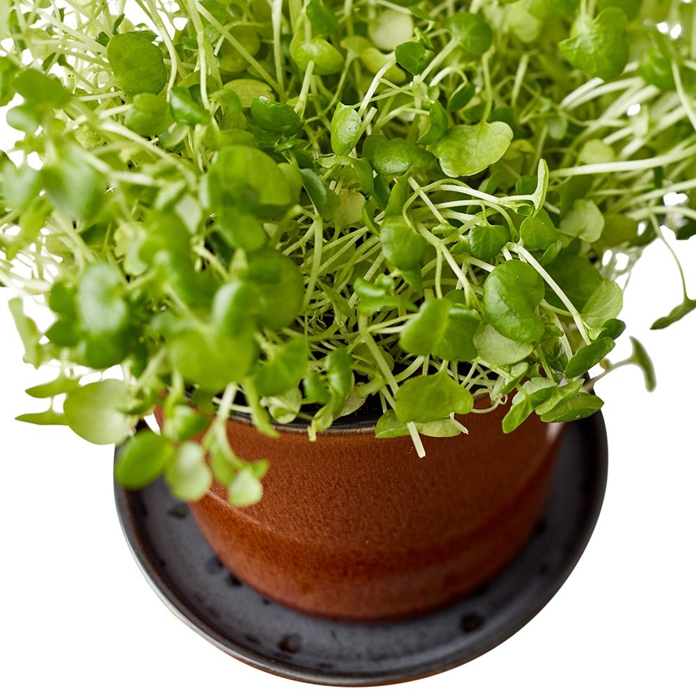 Bitz - Übertopf mit Unterteller - 10 cm - Schwarz/Amber Bitz - Übertopf mit Unterteller - 10 cm - Schwarz/Amber