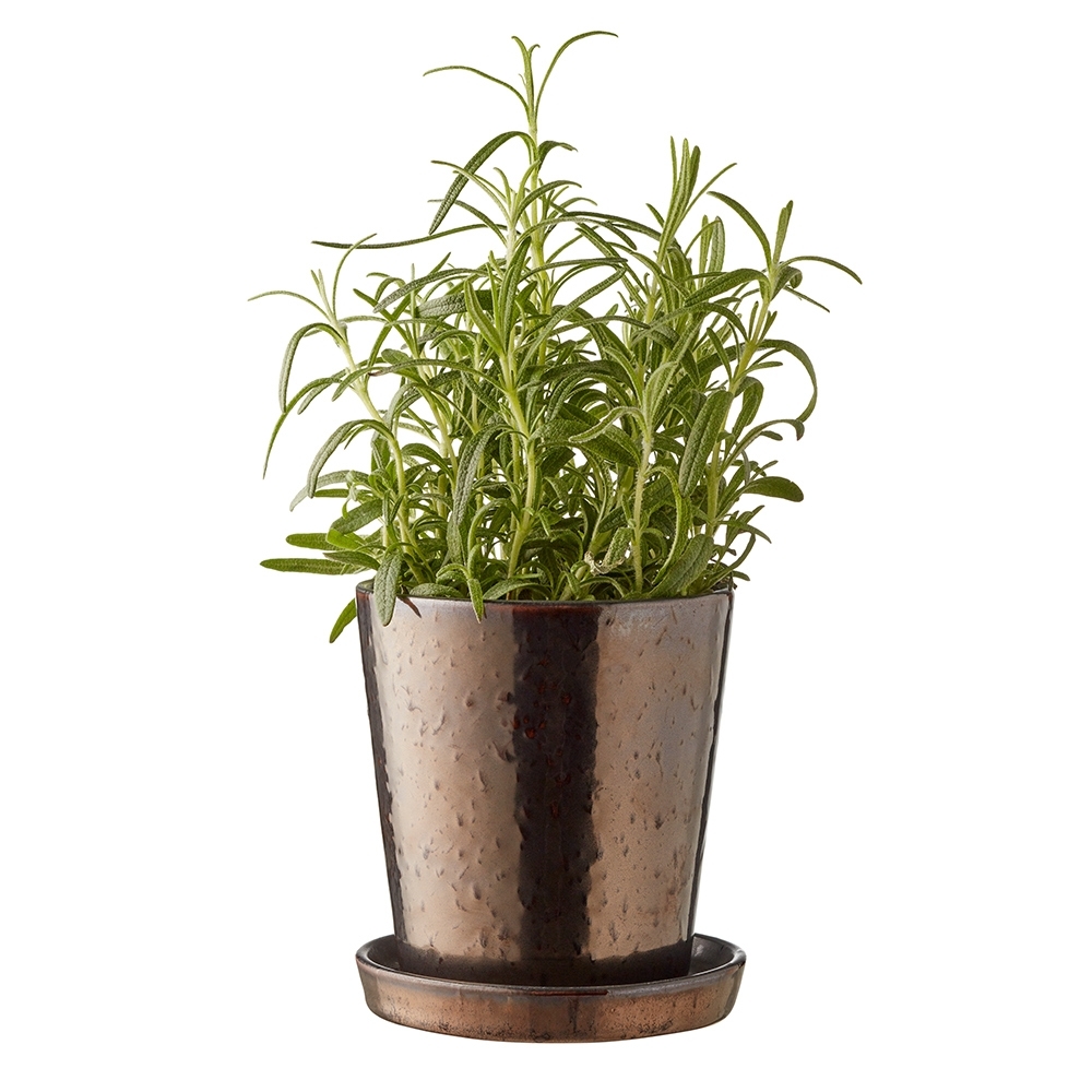 Bitz - Planter with saucer - 10 cm - black/bronze