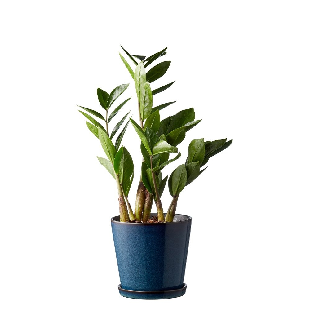 Bitz - Übertopf mit Unterteller - 14 cm - Schwarz/Dunkelblau Bitz - Übertopf mit Unterteller - 14 cm - Schwarz/Dunkelblau