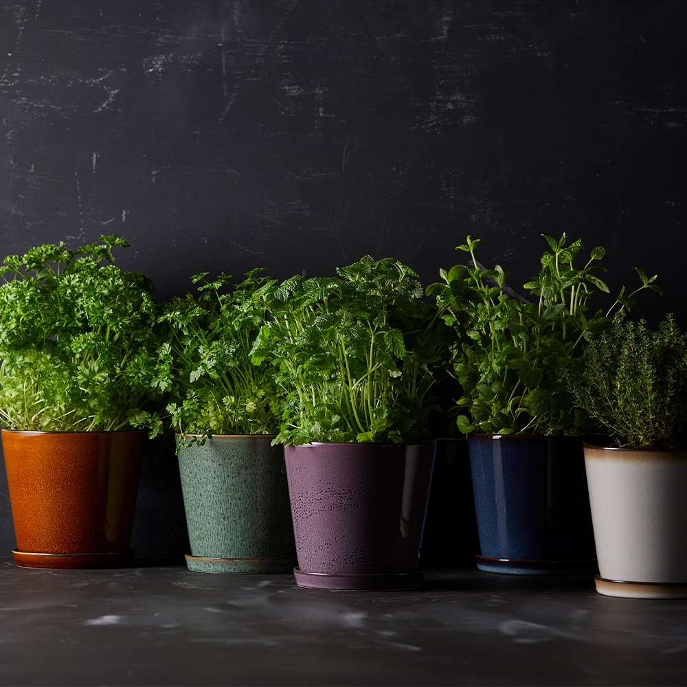 Bitz - Übertopf mit Unterteller - 14 cm - Schwarz/Grün Bitz - Übertopf mit Unterteller - 14 cm - Schwarz/Grün