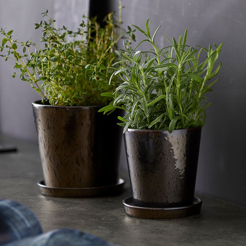 Bitz - Planter with saucer - 14 cm - Black/Bronze Bitz - Planter with saucer - 14 cm - Black/Bronze