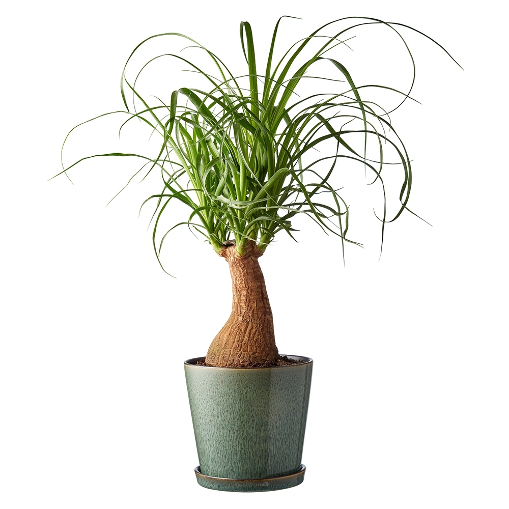 Bitz - Übertopf mit Unterteller - 14 cm - Schwarz/Grün Bitz - Übertopf mit Unterteller - 14 cm - Schwarz/Grün