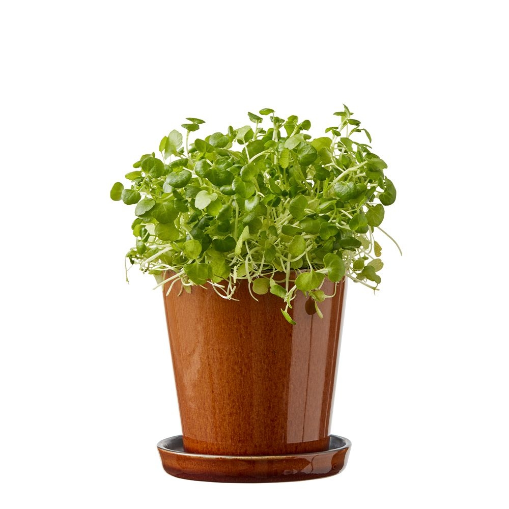 Bitz - Übertopf mit Unterteller - 10 cm - Schwarz/Amber Bitz - Übertopf mit Unterteller - 10 cm - Schwarz/Amber