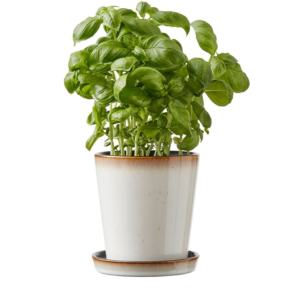 Bitz - Übertopf mit Unterteller - 10 cm - Schwarz/Creme Bitz - Übertopf mit Unterteller - 10 cm - Schwarz/Creme