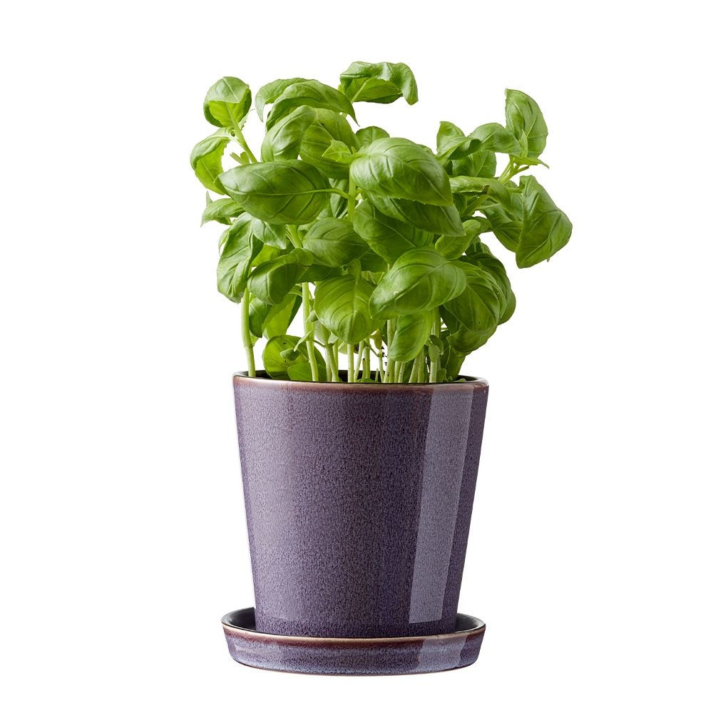 Bitz - Übertopf mit Unterteller - 10 cm - Schwarz/Lila Bitz - Übertopf mit Unterteller - 10 cm - Schwarz/Lila